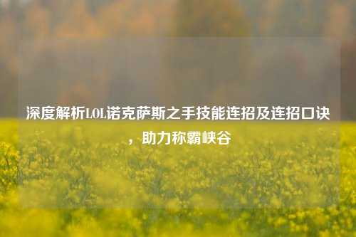 深度解析LOL诺克萨斯之手技能连招及连招口诀，助力称霸峡谷