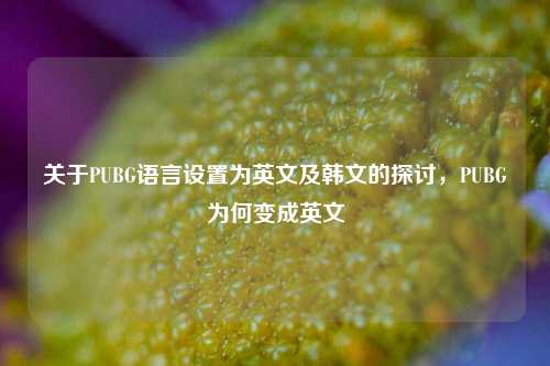 关于PUBG语言设置为英文及韩文的探讨，PUBG为何变成英文