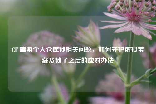 CF 端游个人仓库锁相关问题,如何守护虚拟宝藏及锁了之后的应对办法