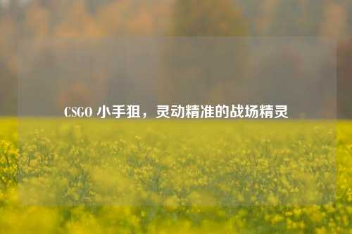 CSGO 小手狙,灵动精准的战场精灵