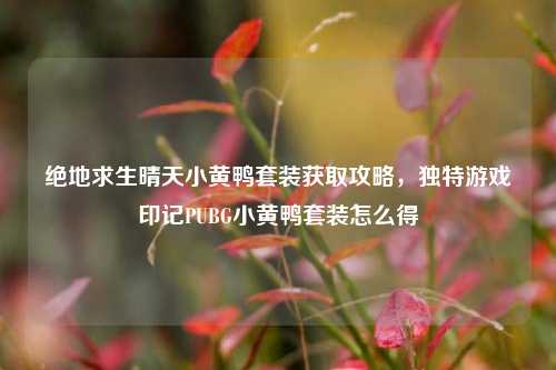 绝地求生晴天小黄鸭套装获取攻略，独特游戏印记PUBG小黄鸭套装怎么得