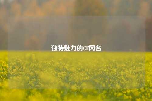 独特魅力的CF网名