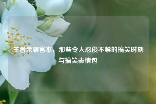 王者荣耀宫本，那些令人忍俊不禁的搞笑时刻与搞笑表情包