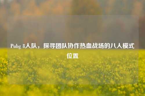 Pubg 8人队，探寻团队协作热血战场的八人模式位置