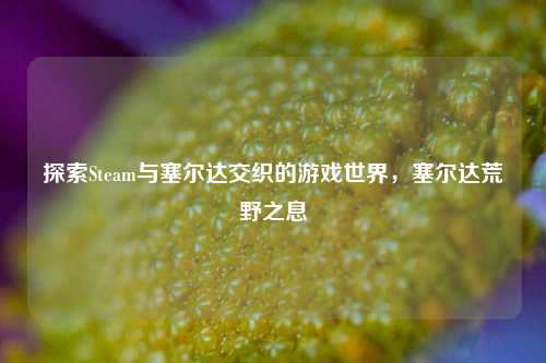 探索Steam与塞尔达交织的游戏世界，塞尔达荒野之息