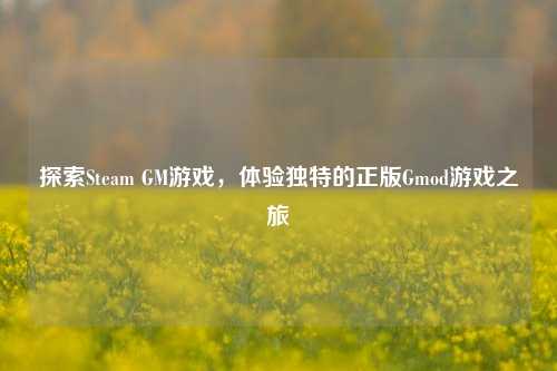 探索Steam GM游戏，体验独特的正版Gmod游戏之旅