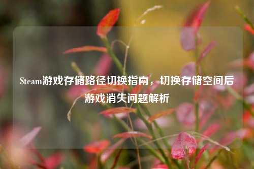 Steam游戏存储路径切换指南，切换存储空间后游戏消失问题解析