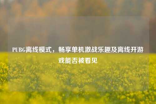 PUBG离线模式，畅享单机激战乐趣及离线开游戏能否被看见