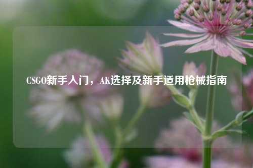 CSGO新手入门，AK选择及新手适用枪械指南