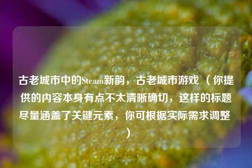古老城市中的Steam新韵,古老城市游戏 (你提供的内容本身有点不太清晰确切,这样的标题尽量涵盖了关键元素,你可根据实际需求调整 )