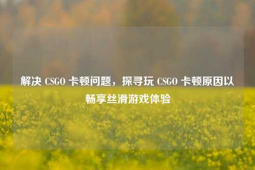 解决 CSGO 卡顿问题，探寻玩 CSGO 卡顿原因以畅享丝滑游戏体验