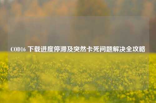 COD16 下载进度停滞及突然卡死问题解决全攻略