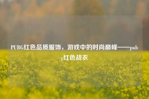 PUBG红色品质服饰，游戏中的时尚巅峰——pubg红色战衣