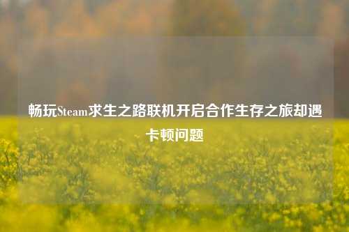畅玩Steam求生之路联机开启合作生存之旅却遇卡顿问题