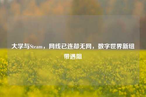 大学与Steam，网线已连却无网，数字世界新纽带遇阻