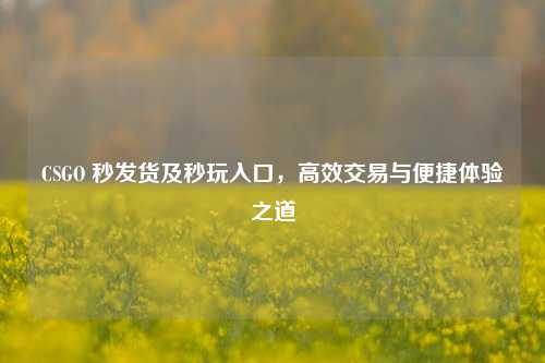 CSGO 秒发货及秒玩入口，高效交易与便捷体验之道