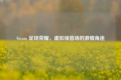 Steam 足球荣耀,虚拟绿茵场的激情角逐