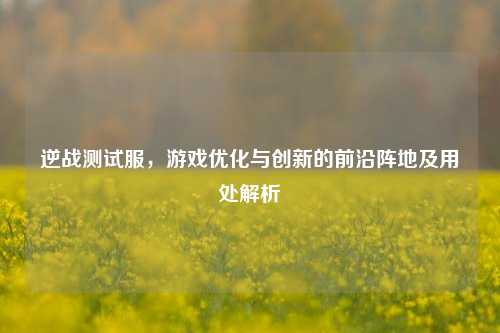 逆战测试服,游戏优化与创新的前沿阵地及用处解析