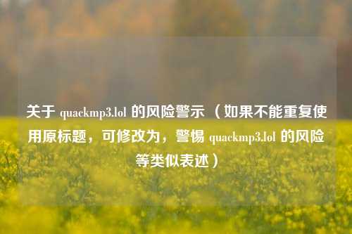 关于 quackmp3.lol 的风险警示 （如果不能重复使用原标题，可修改为，警惕 quackmp3.lol 的风险等类似表述）