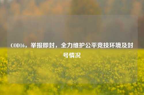 COD16，举报即封，全力维护公平竞技环境及封号情况
