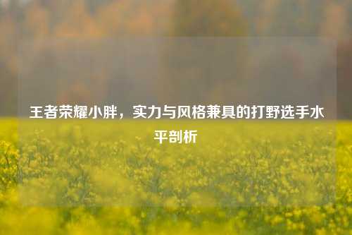 王者荣耀小胖，实力与风格兼具的打野选手水平剖析