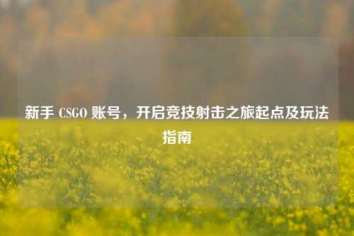新手 CSGO 账号,开启竞技射击之旅起点及玩法指南