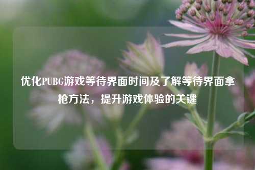 优化PUBG游戏等待界面时间及了解等待界面拿枪方法，提升游戏体验的关键
