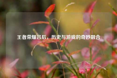 王者荣耀吕后，历史与游戏的奇妙融合