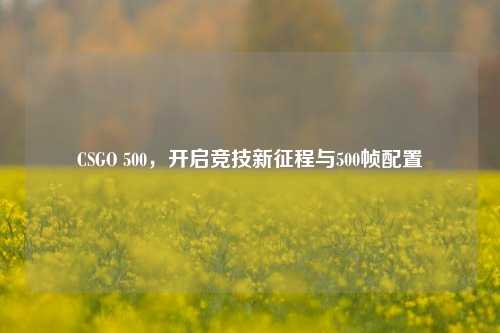 CSGO 500,开启竞技新征程与500帧配置