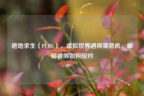 绝地求生（PUBG），虚拟世界遇绑架危机，邮箱被绑如何应对