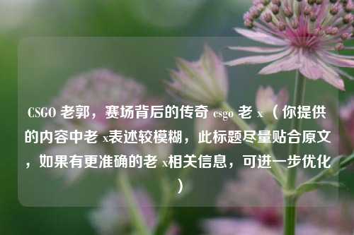 CSGO 老郭，赛场背后的传奇 csgo 老 x （你提供的内容中老 x表述较模糊，此标题尽量贴合原文，如果有更准确的老 x相关信息，可进一步优化）