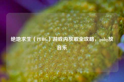 绝地求生（PUBG）游戏内放歌全攻略，pubg放音乐