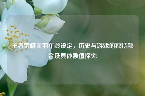 王者荣耀关羽年龄设定，历史与游戏的独特融合及具体数值探究