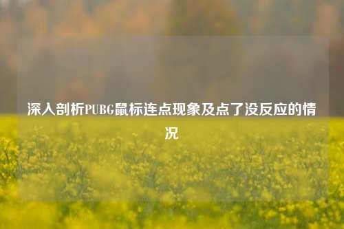 深入剖析PUBG鼠标连点现象及点了没反应的情况