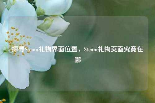 探寻Steam礼物界面位置，Steam礼物页面究竟在哪