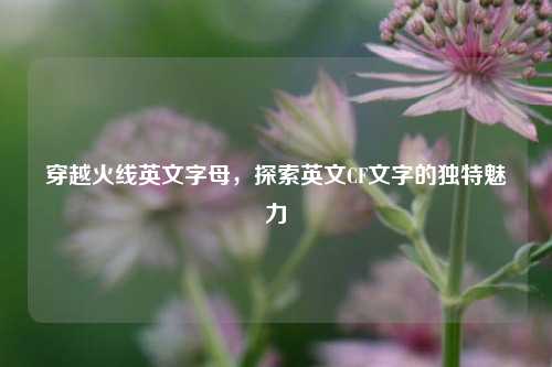 穿越火线英文字母,探索英文CF文字的独特魅力