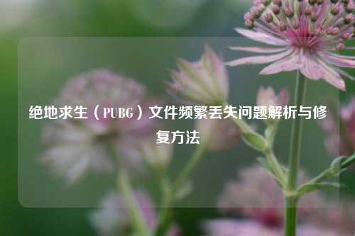 绝地求生（PUBG）文件频繁丢失问题解析与修复方法