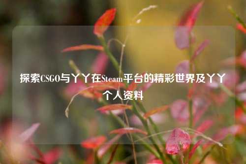 探索CSGO与丫丫在Steam平台的精彩世界及丫丫个人资料