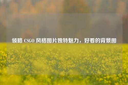领略 CSGO 风格图片独特魅力，好看的背景图