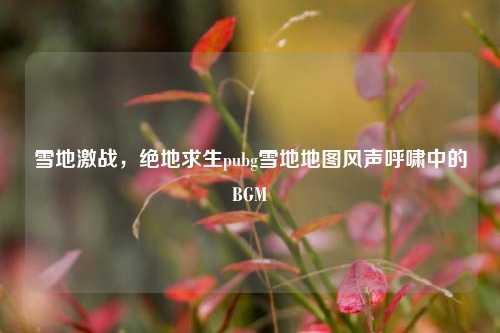 雪地激战,绝地求生pubg雪地地图风声呼啸中的BGM