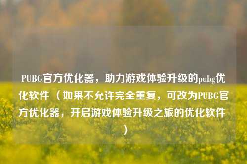 PUBG官方优化器，助力游戏体验升级的pubg优化软件 （如果不允许完全重复，可改为PUBG官方优化器，开启游戏体验升级之旅的优化软件 ）