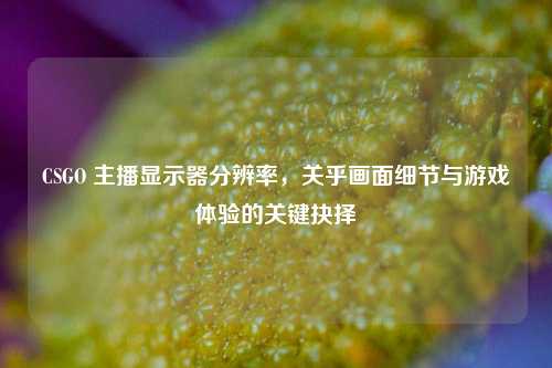 CSGO 主播显示器分辨率，关乎画面细节与游戏体验的关键抉择