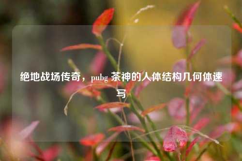 绝地战场传奇，pubg 茶神的人体结构几何体速写