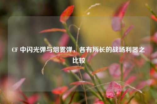 CF 中闪光弹与烟雾弹，各有所长的战场利器之比较