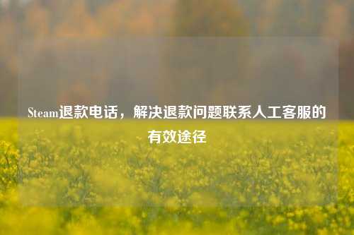 Steam退款电话,解决退款问题联系人工客服的有效途径