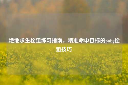 绝地求生栓狙练习指南，精准命中目标的pubg栓狙技巧
