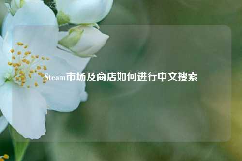 Steam市场及商店如何进行中文搜索