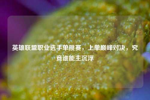 英雄联盟职业选手单挑赛，上单巅峰对决，究竟谁能主沉浮
