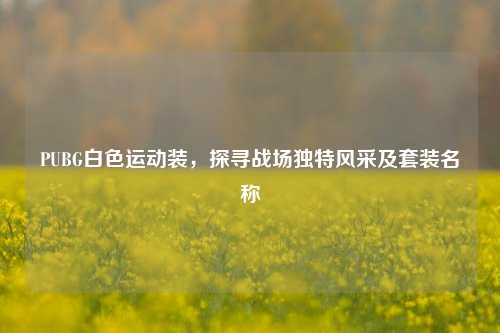 PUBG白色运动装，探寻战场独特风采及套装名称
