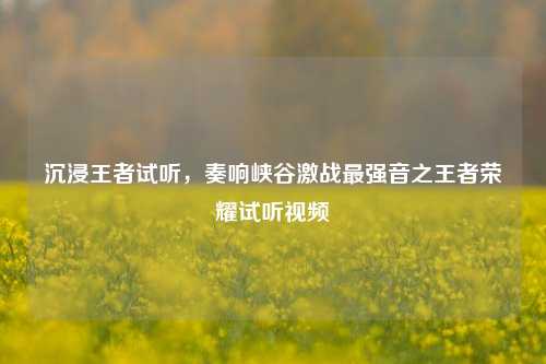 沉浸王者试听,奏响峡谷激战最强音之王者荣耀试听视频